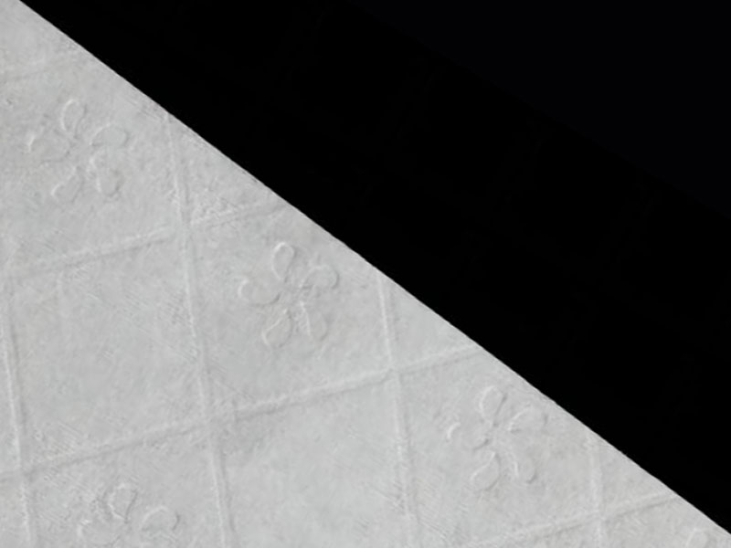 Vải viscose/bột giấy có thể xả được cho giấy vệ sinh