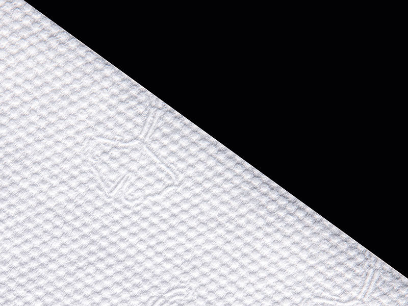 Viscose và Polyester Ginkgo Dot Style Spunlace không dệt cho khăn lau khô hoặc ướt